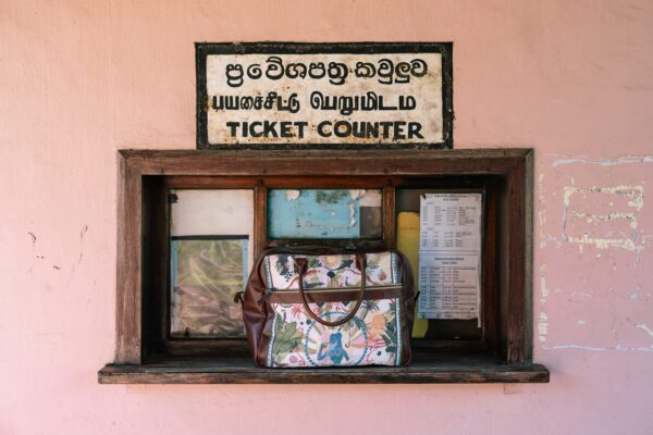 Ann - Artist Series - Swami's Travel Bag - Image 3